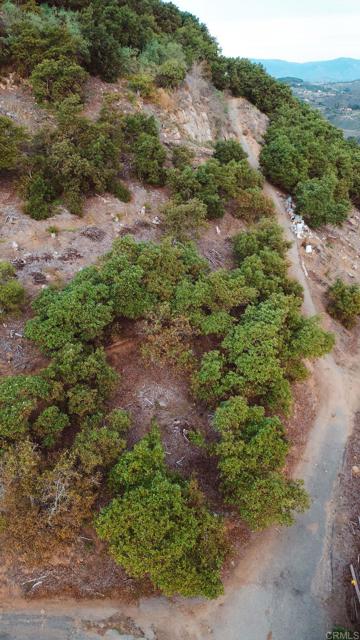 Detail Gallery Image 18 of 18 For 1411 Wild Acres Rd., Vista,  CA 92084 - – Beds | – Baths