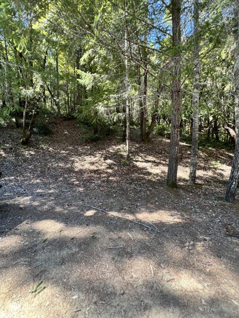 24858 Clover Road, Willits CA: https://media.crmls.org/mediaz/717d9509-34e6-4675-b5ad-606968486beb.jpg