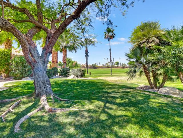 80418 Dumphries Court, Indio CA: https://media.crmls.org/mediaz/7182c70c-9997-4757-bcde-464cc8396cc6.jpg