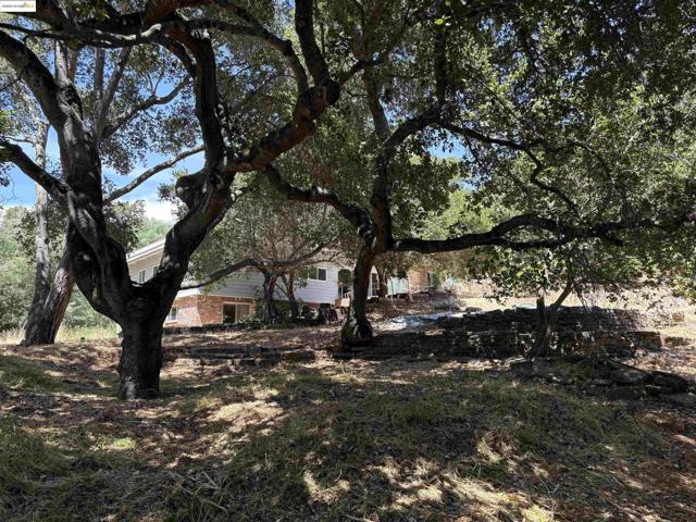 5415 Leona Street, Oakland CA: https://media.crmls.org/mediaz/718602c7-8844-4d9b-b18f-3d0f453a45b8.jpg