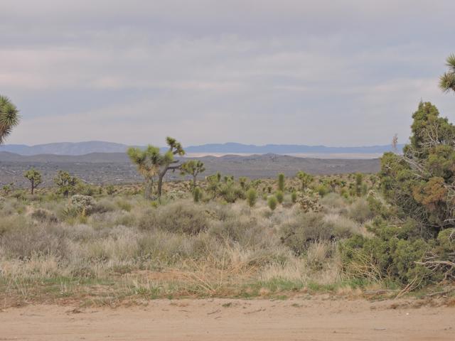 Image 2 for 0 Paradise View Rd, Yucca Valley, CA 92284