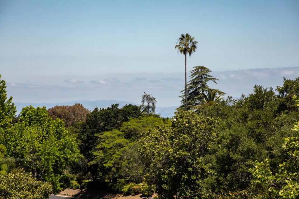 https://media.crmls.org/mediaz/718b01bc-332f-4fb9-a9bb-b76a935e06f9.jpg?preset=X-Large