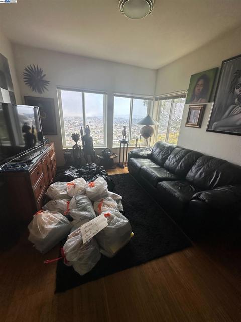 440 Pointe Pacific, Daly City CA: https://media.crmls.org/mediaz/718e0fdd-e3d6-4af0-b1fa-611a035853f4.jpg