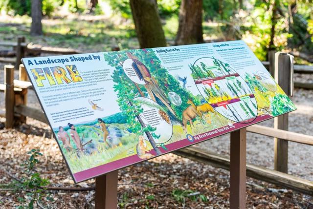 15995 Big Basin Way, Boulder Creek CA: https://media.crmls.org/mediaz/718f1805-1ea1-47d7-b4ac-d8f3aa9bd2ba.jpg