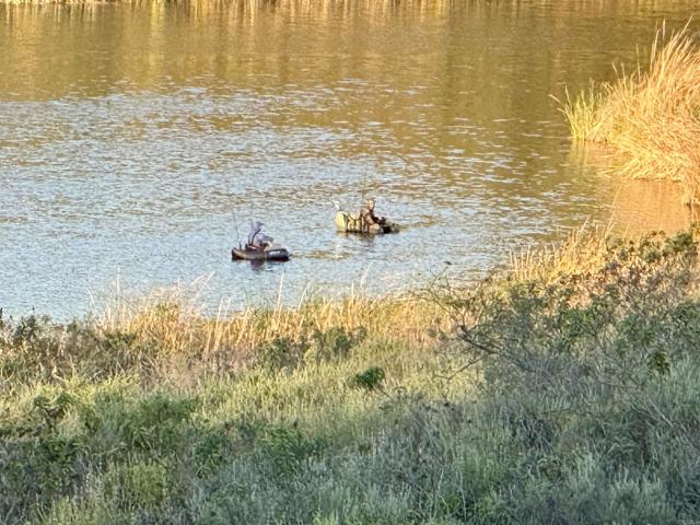 Detail Gallery Image 29 of 36 For 15778 Camino Crisalida, San Diego,  CA 92127 - 4 Beds | 3 Baths