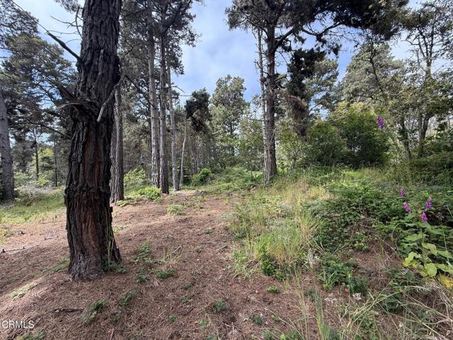 18391 Old Coast Highway, Fort Bragg CA: https://media.crmls.org/mediaz/7199c36a-82e4-49b0-abfe-36483d0a3ab2.jpg