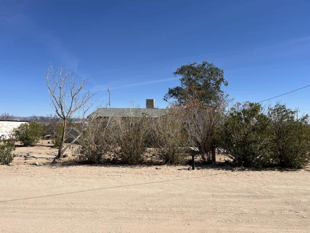 2237 Pampas Avenue, 29 Palms, California 92277, 3 Bedrooms Bedrooms, ,1 BathroomBathrooms,Single Family Residence,For Sale,Pampas,219123855DA