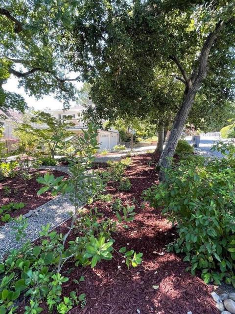 23951 Spalding Avenue, Los Altos CA: https://media.crmls.org/mediaz/71bf0afd-c75c-4c48-9854-060d5927c816.jpg