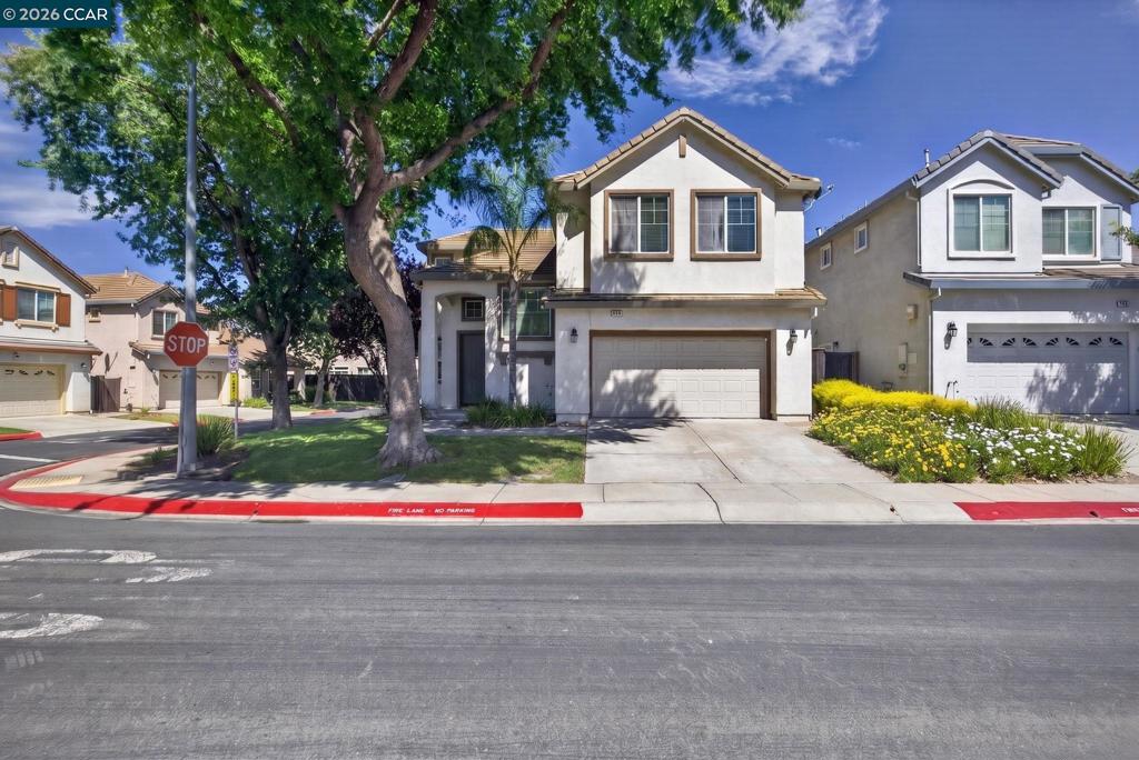 149 Maidenhair St