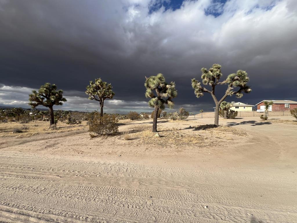 MLS #219138998DA image #11