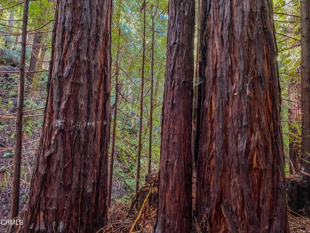 0 Irmulco Road, Willits CA: https://media.crmls.org/mediaz/71c2f3d7-9b30-4c9d-9efd-58414cc50880.jpg