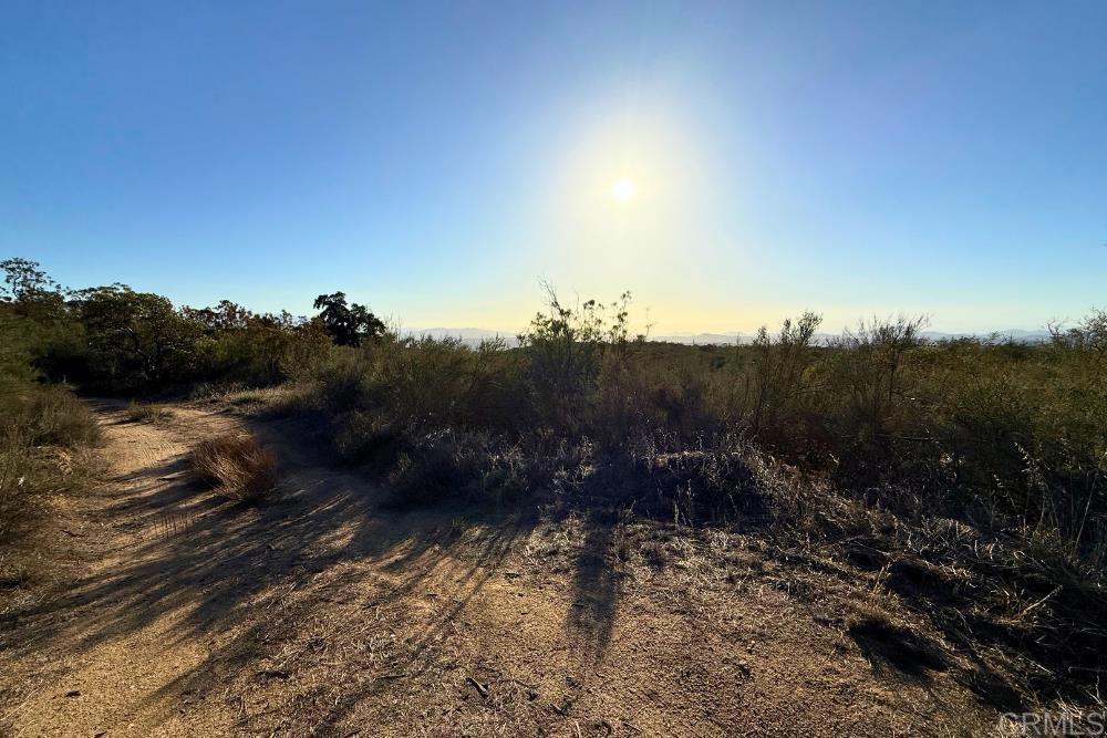 MLS #PTP2507282 image #21