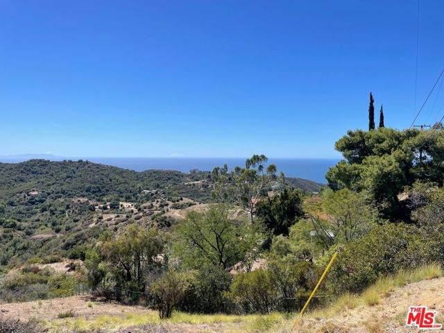 1 Tuna Canyon Road photo 6