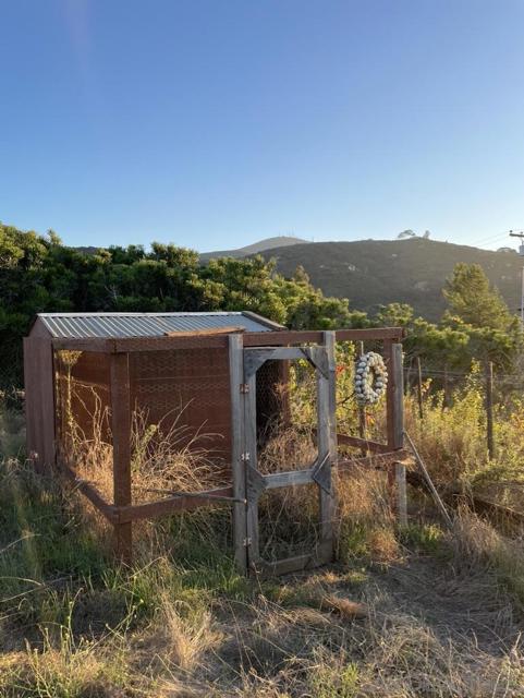 Chicken coup.