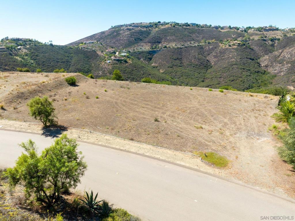 MLS #250038020SD image #36