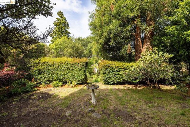 636 Euclid Ave, Berkeley CA: https://media.crmls.org/mediaz/71e8d659-09d1-4d84-8eee-c1705ca5656c.jpg