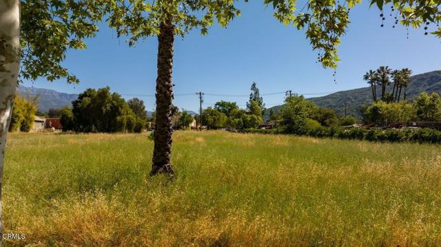 Detail Gallery Image 13 of 14 For 325 Bryant St, Ojai,  CA 93023 - – Beds | – Baths