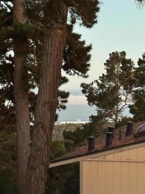 250 Forest Ridge Road, Monterey CA: https://media.crmls.org/mediaz/71f848b3-3191-4e20-9a32-818effce91cf.jpg