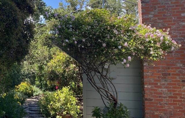 25349 Flanders Drive, Carmel CA: https://media.crmls.org/mediaz/71fd45d5-2c22-4b7f-93e8-09665c2bf33e.jpg