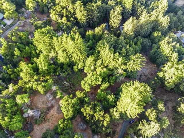 12 Montecito Road, Woodside CA: https://media.crmls.org/mediaz/71ffae5d-3dca-4019-a09a-7c73fb293df9.jpg