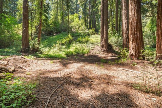 0 Grove Street, Los Gatos CA: https://media.crmls.org/mediaz/7202a5be-5ce5-46a0-83fe-e02db5df58d5.jpg