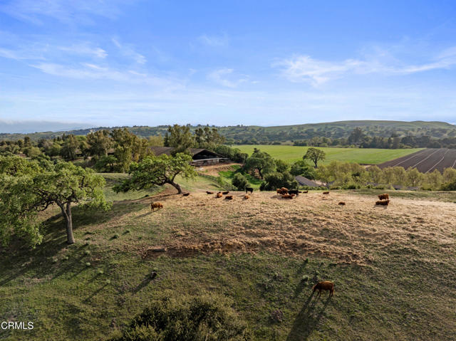 Detail Gallery Image 70 of 75 For 3325 Figueroa Mountain Rd, Los Olivos,  CA 93441 - 3 Beds | 3/2 Baths