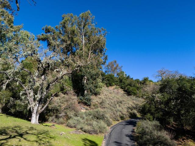 23200 Encinal Court, Los Altos Hills CA: https://media.crmls.org/mediaz/7225a3cc-7ca1-4d25-a3b8-c7c3b44eb8f1.jpg