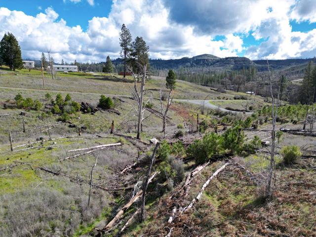 Image 13 of 24 For 5135 Old Emigrant Trail West