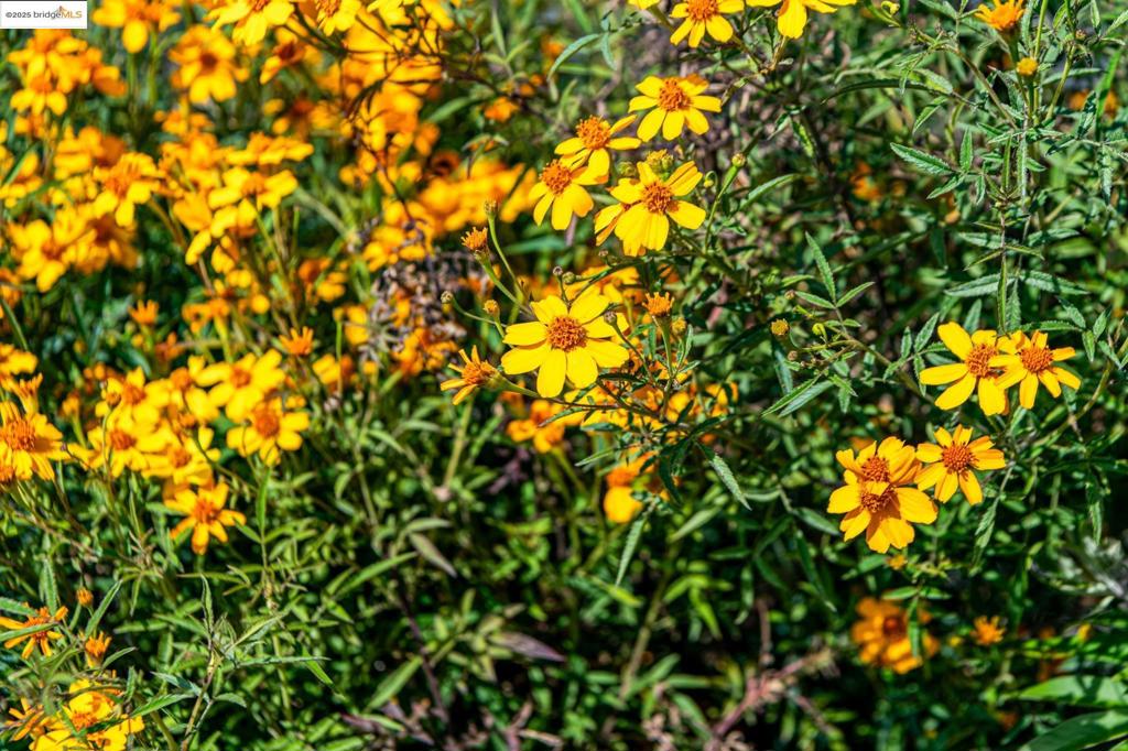 https://media.crmls.org/mediaz/723abfb7-a37e-4aeb-9ae6-b0596e11acd2.jpg?preset=X-Large