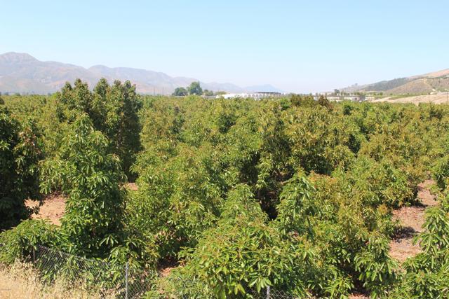 Detail Gallery Image 16 of 33 For 0 Camulos St, Piru,  CA 93040 - – Beds | – Baths