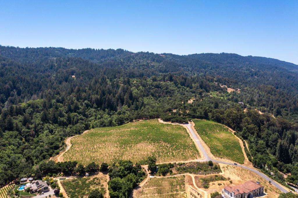 MLS #ML82023193 image #14