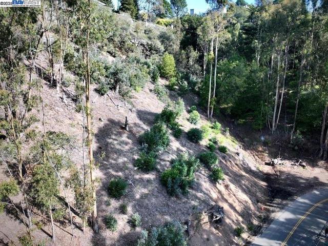 7590 Skyline Blvd, Oakland CA: https://media.crmls.org/mediaz/7247c2a5-3816-4fc6-ae47-c58b80dacd44.jpg
