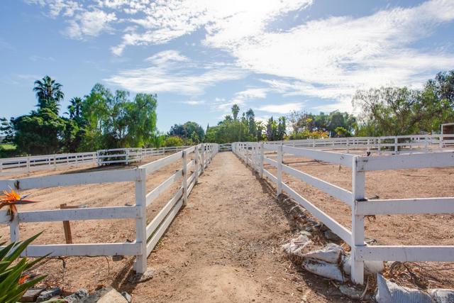 623 Quail Gardens Lane, Encinitas CA: https://media.crmls.org/mediaz/7258ac4a-cc12-4888-a0f3-1b03c4ef5910.jpg