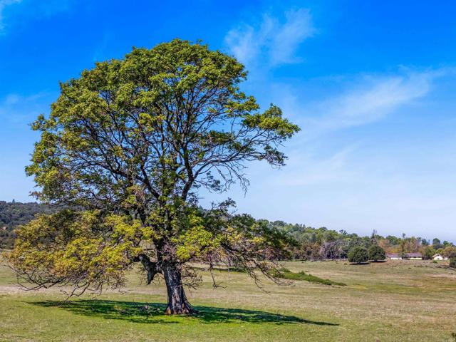 3510 Deer Lake Park Road, Julian CA: https://media.crmls.org/mediaz/725d8e42-1086-482a-a6c4-db737f3f20be.jpg