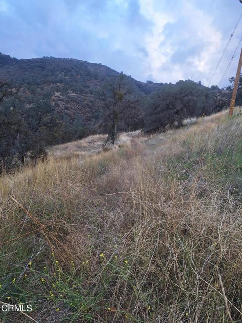 28600 Ridgeview Court, Tehachapi, California 93561, ,Land,For Sale,28600 Ridgeview Court,CRV1-20891