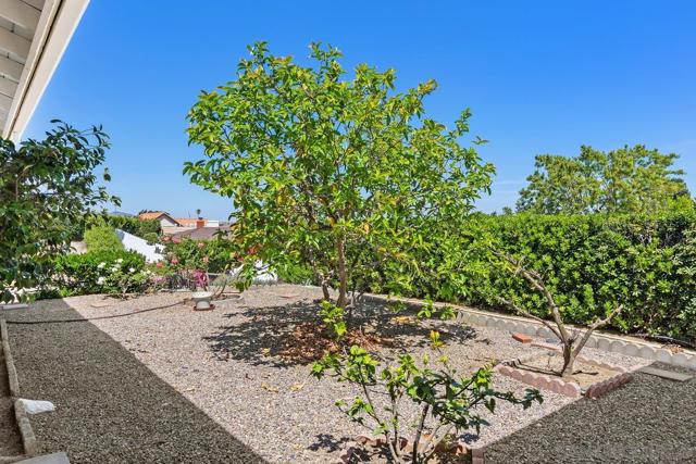 12226 Casero Ct., San Diego CA: https://media.crmls.org/mediaz/7270df13-fffd-456f-93bd-0c0123c541fe.jpg