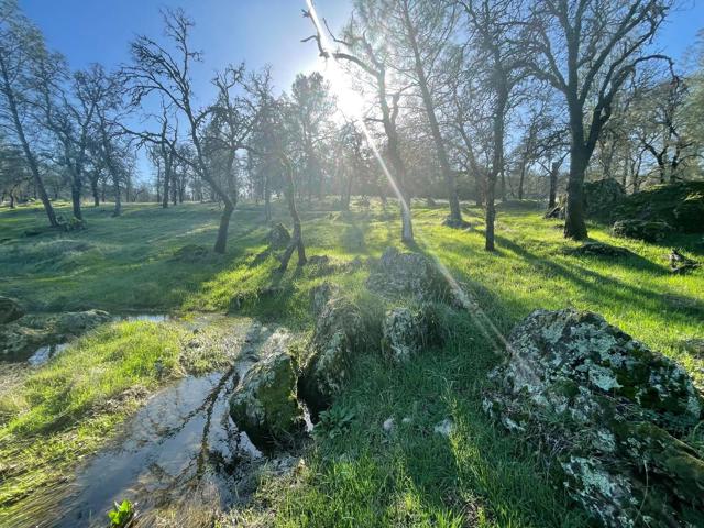 0 Avacado Road, Oroville CA: https://media.crmls.org/mediaz/72722b22-2bc0-402b-84ec-cfc41ad67d49.jpg