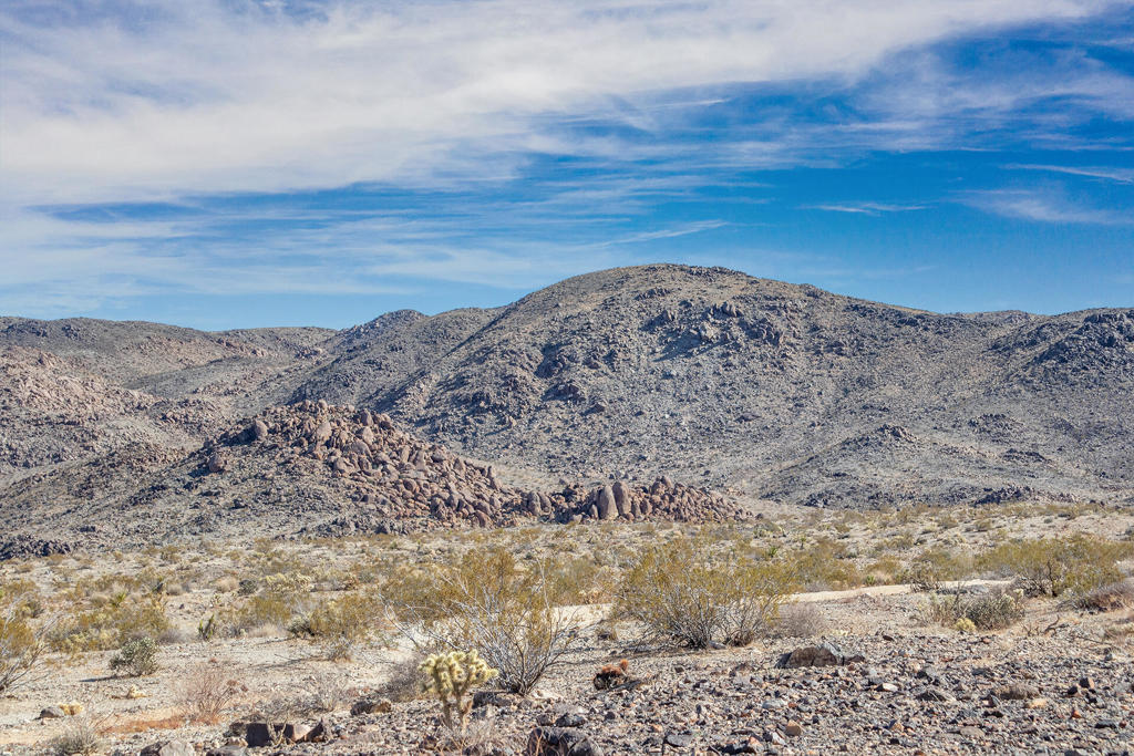 MLS #219131400PS image #3