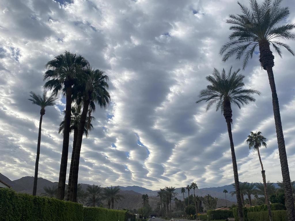 MLS #219138742DA image #33