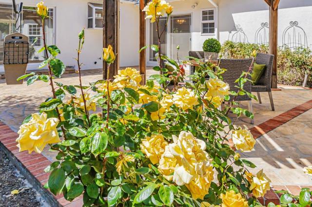 14555 Nelson Way, San Jose CA: https://media.crmls.org/mediaz/728a66e5-935f-4fe7-bcf3-e1434028aa4b.jpg