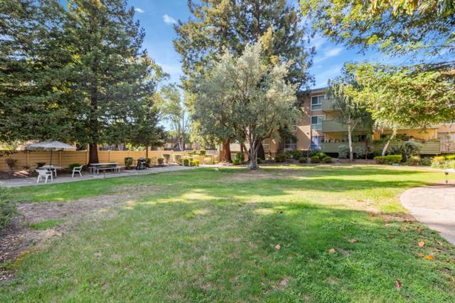 1031 Crestview Drive, Mountain View CA: https://media.crmls.org/mediaz/728b1afa-dd6f-4c18-9f3f-bba8c06d6945.jpg