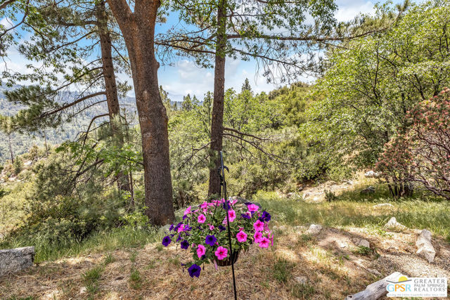 21395 Highway 243, Idyllwild CA: https://media.crmls.org/mediaz/728dd47d-87b9-4100-b407-9c45954e06b2.jpg
