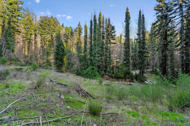 21200 Big Basin Way, Boulder Creek CA: https://media.crmls.org/mediaz/729131a7-e00d-4449-bc78-89e060337beb.jpg