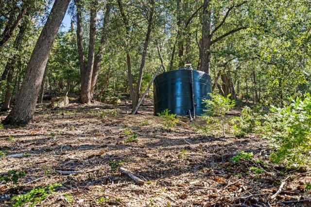 Detail Gallery Image 22 of 30 For 14 +/- Acres Palomar Divide Truck Trl, Palomar Mountain,  CA 92060 - – Beds | – Baths