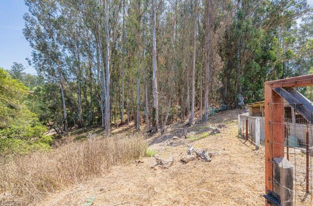 Image 67 of 68 For 158 Echo Valley Road