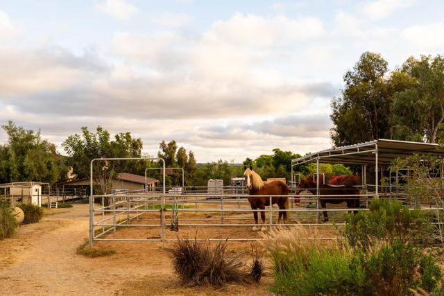 Detail Gallery Image 8 of 46 For 16761 Artesian Breeze Way, San Diego,  CA 92127 - 5 Beds | 4 Baths