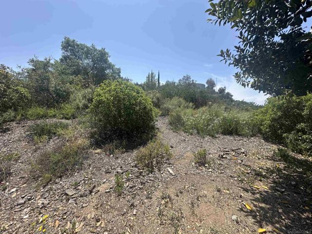 0 Sage Hill Way, Escondido CA: https://media.crmls.org/mediaz/72b3e4a9-0721-4e4d-aa57-b807b68e6518.jpg