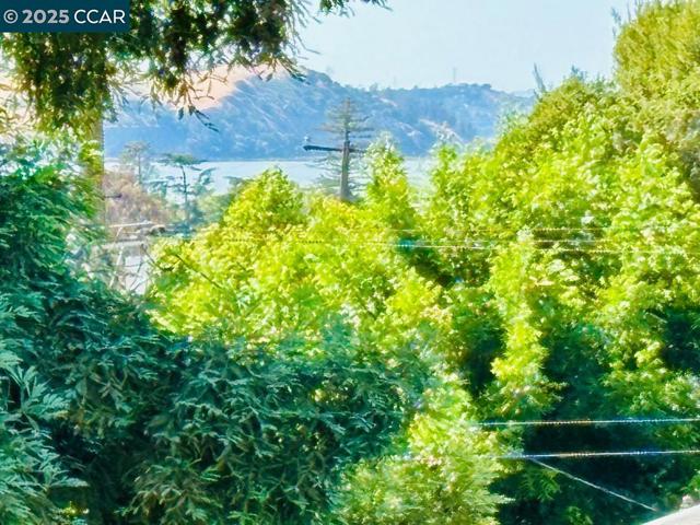 1011 Harbor View Dr, Martinez CA: https://media.crmls.org/mediaz/72b6557e-f11b-45e9-8bc6-09c5eb72e2d8.jpg