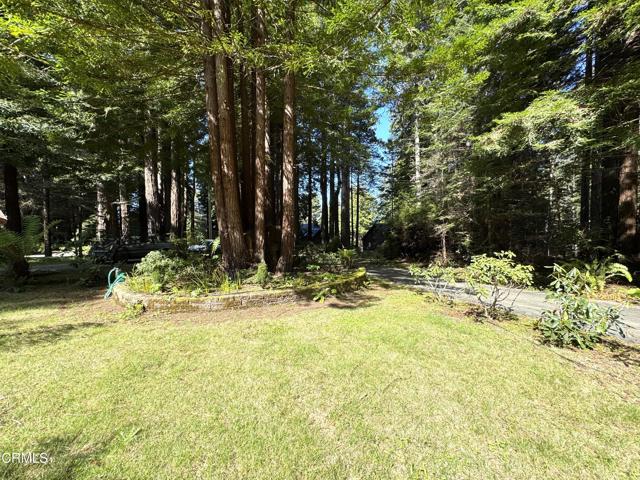 Detail Gallery Image 40 of 44 For 12141 Pinewood Rd, Mendocino,  CA 95460 - 3 Beds | 2 Baths