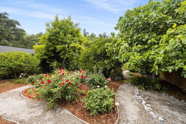 Detail Gallery Image 25 of 29 For 1712 N El Molino Ave, Pasadena,  CA 91104 - 3 Beds | 2 Baths